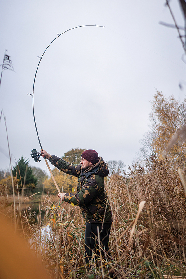 New Daiwa Crosscast Carp Rod - 10ft / 12ft - All Models / Test Curves