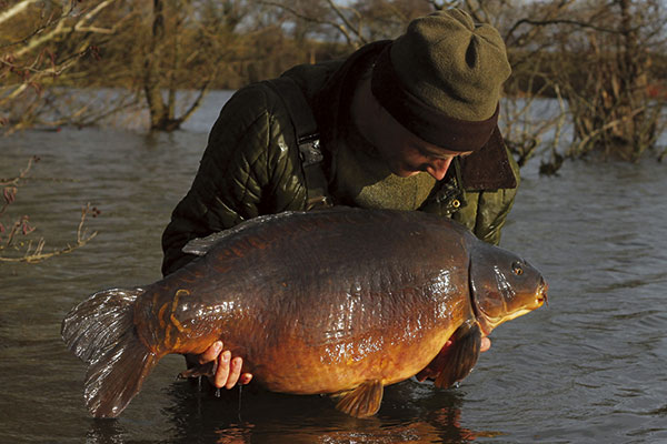 Tom Stokes: Catcher Of Big Carp