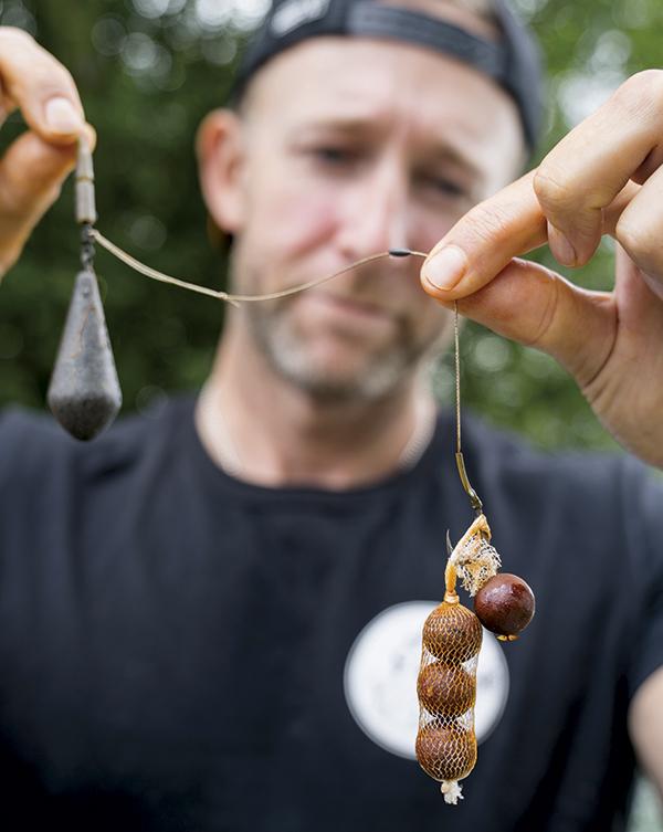 The best baits for carp fishing