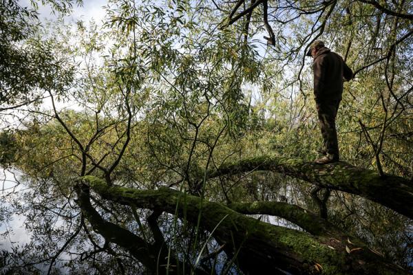 INSIDE THE MIND, Dave Lane's Snag Edges